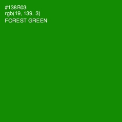 #138B03 - Forest Green Color Image